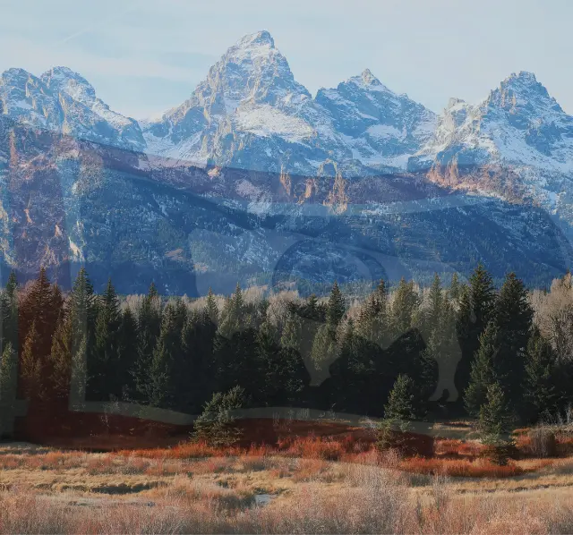 wyoming medical billing services