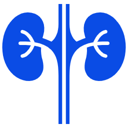 nephrology